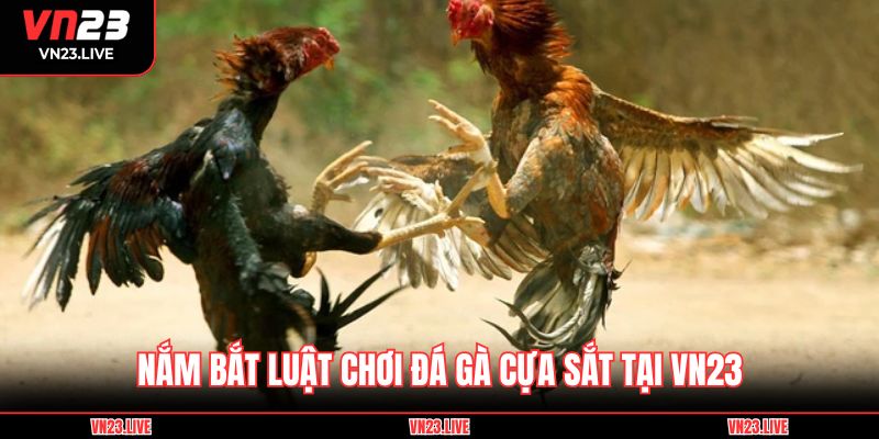 Nắm bắt luật chơi đá gà cựa sắt tại VN23