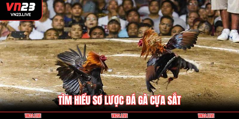 Tìm hiểu sơ lược đá gà cựa sắt