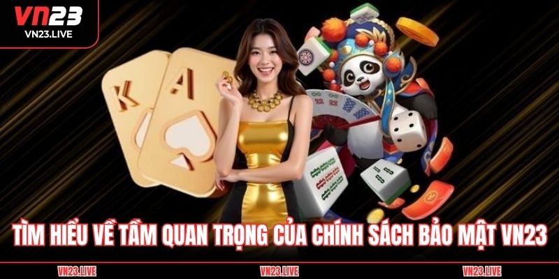 TÌm hiểu về tầm quan trọng của chính sách bảo mật VN23
